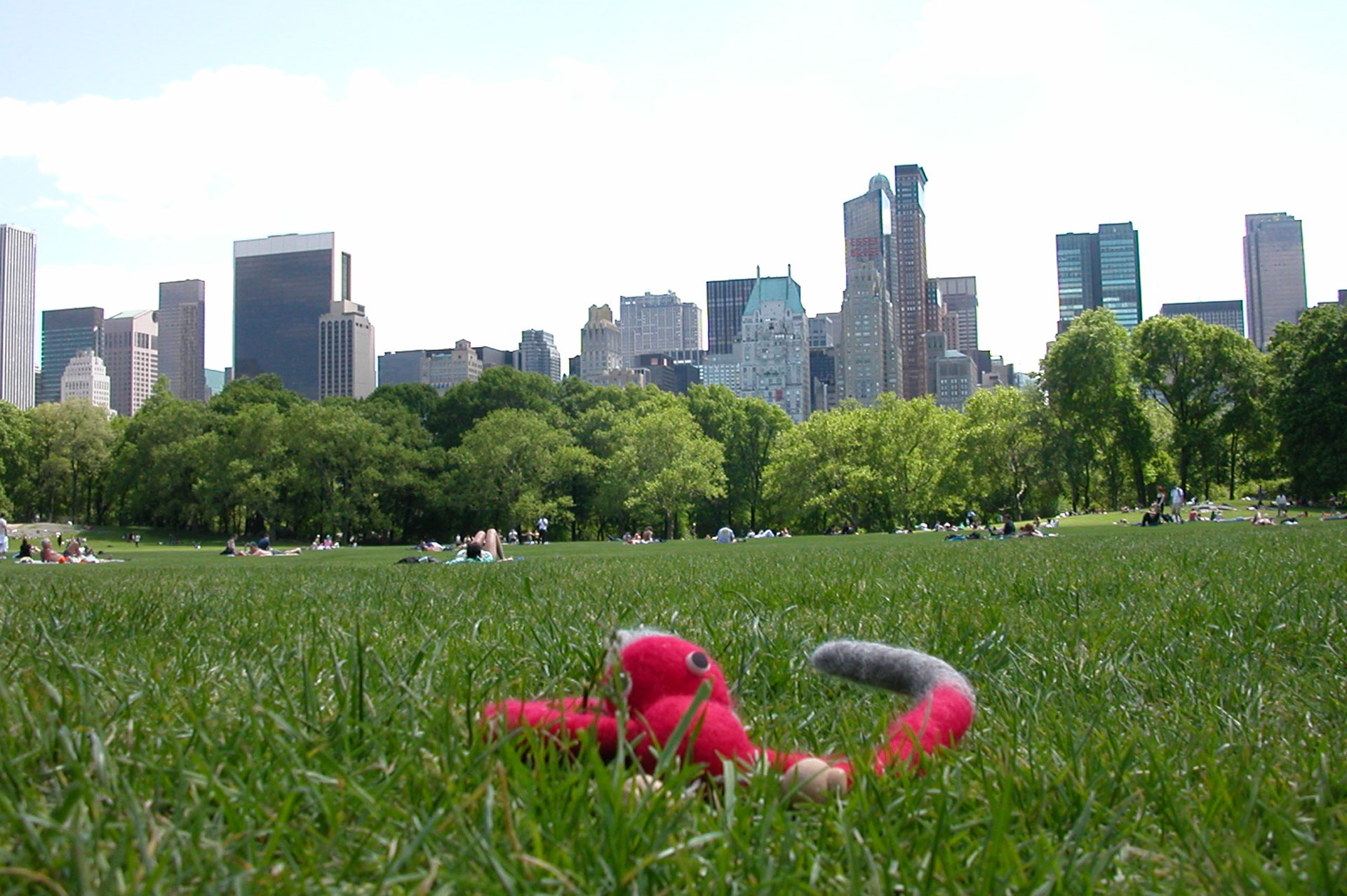 a nap in the central park, NYC, 2006 made of 100% wool, fully moveable and bendable arms